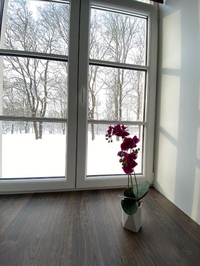 Lägenhet Vabriku 6 With Sauna *