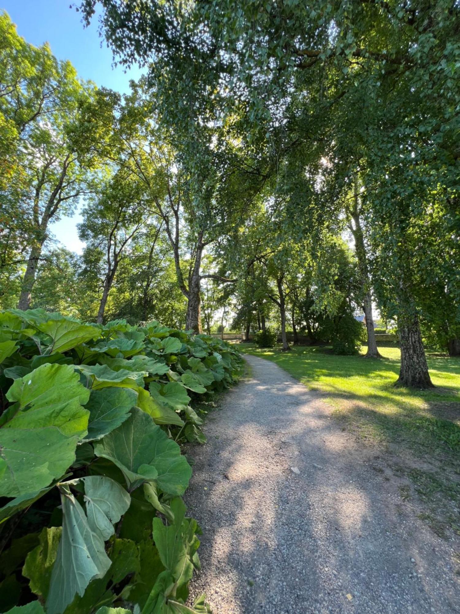 Vabriku 6 With Sauna Lägenhet